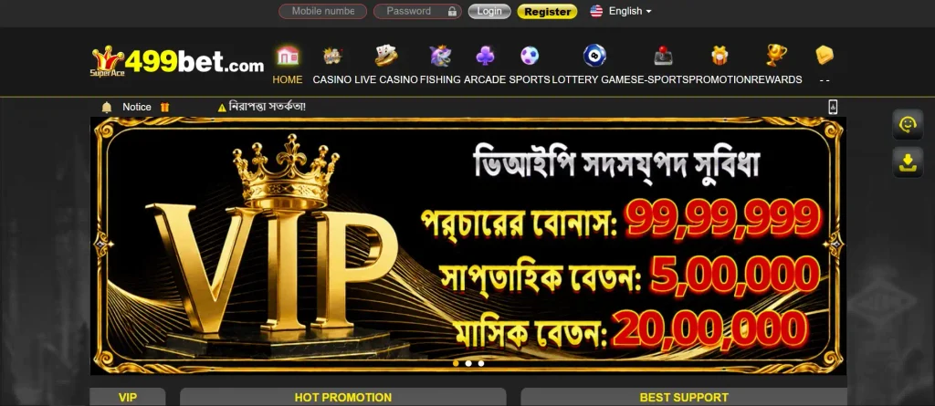 What Is 499Bet?